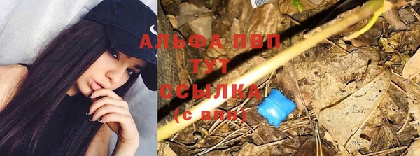 гидра Алексеевка