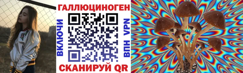 Купить закладки  Мглин  Галлюциногенные грибы мицелий 
